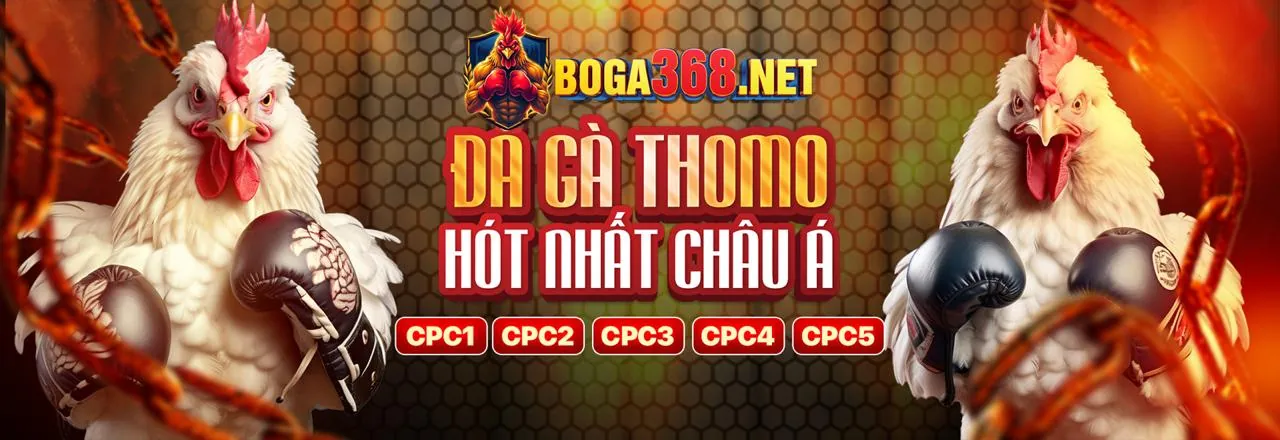 Đá Gà Trực Tuyến Hấp Dẫn tại Tỷ Lệ Kèo 88